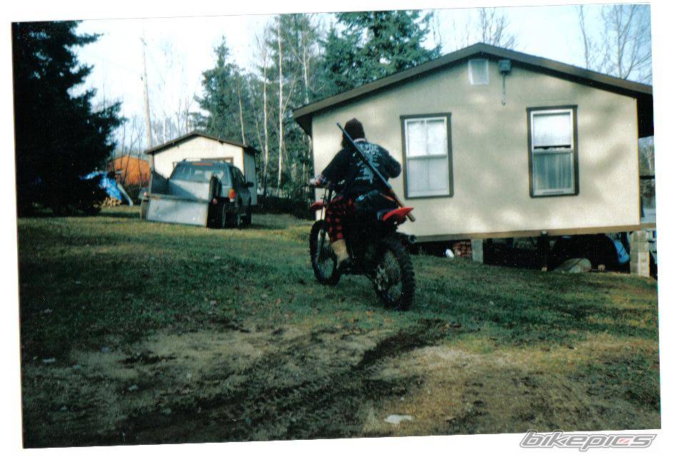 Photo 135641
