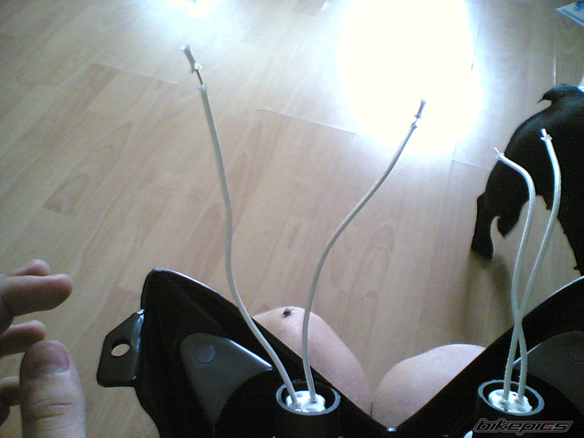 Photo 1356507