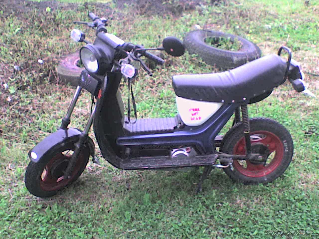 Photo 1356532