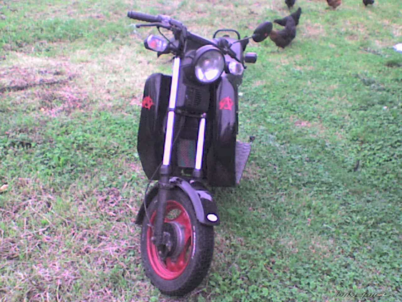 Photo 1356533