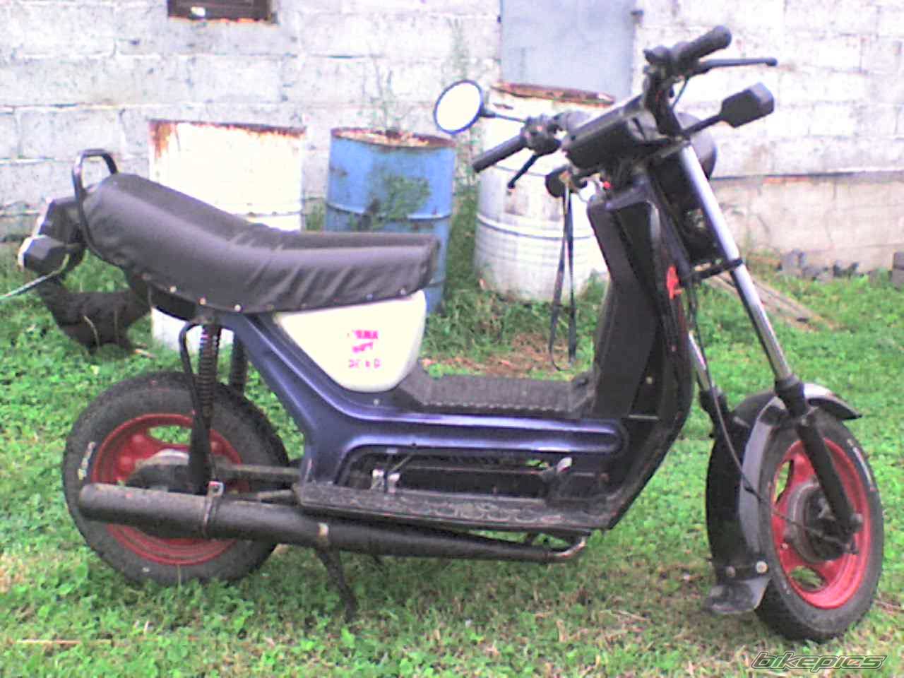 Photo 1356534