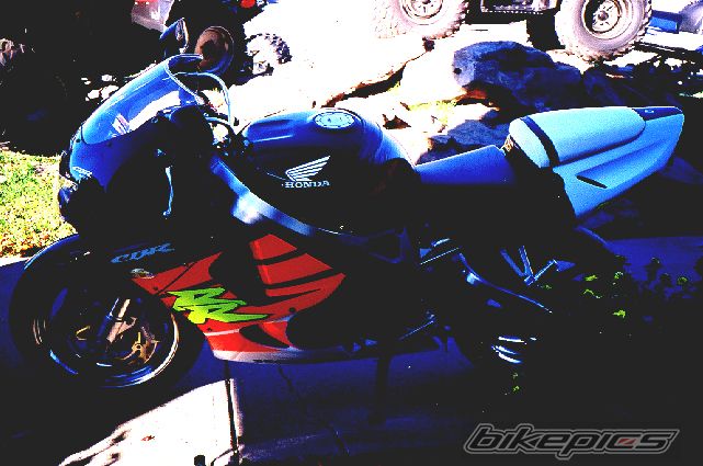 Photo 1356594