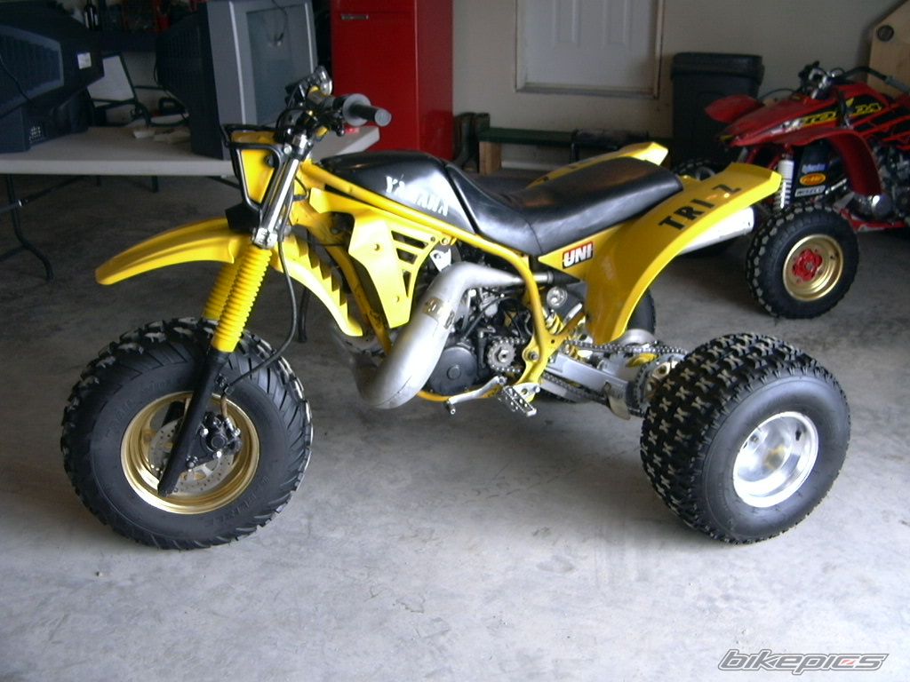 Photo 1356662
