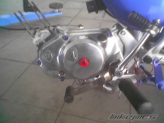Photo 1356752