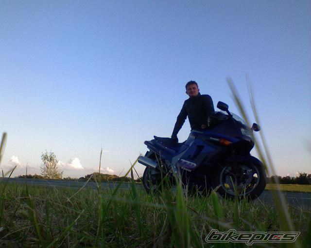 Photo 1356819