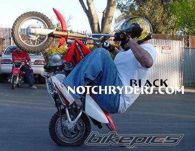 Photo 135692