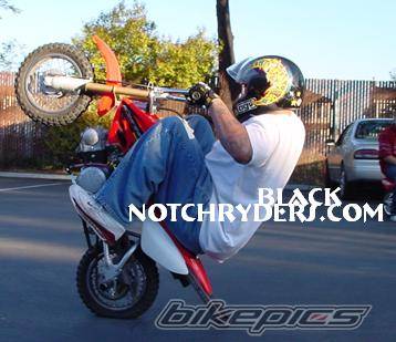 Photo 135693