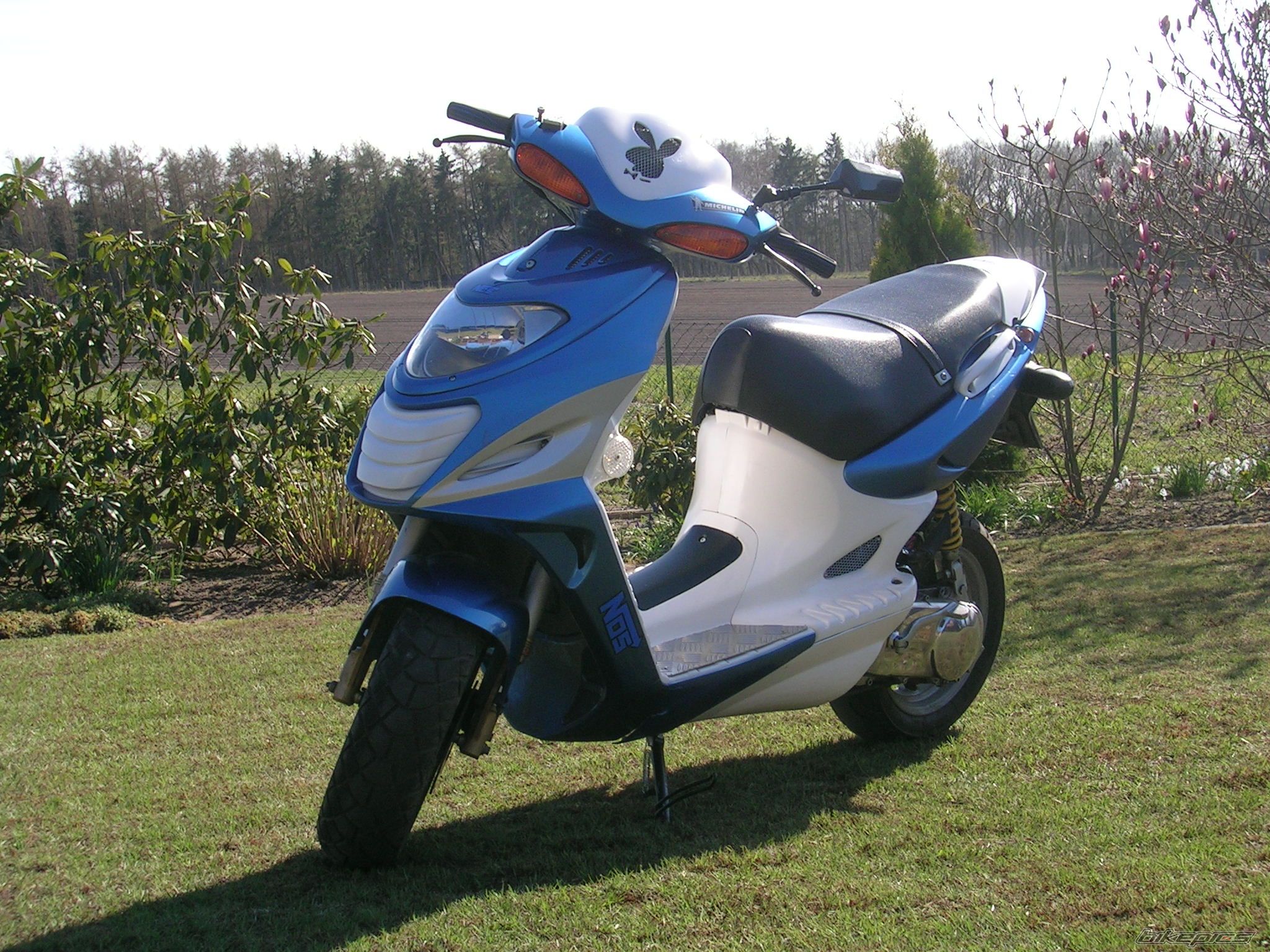 Photo 1356935