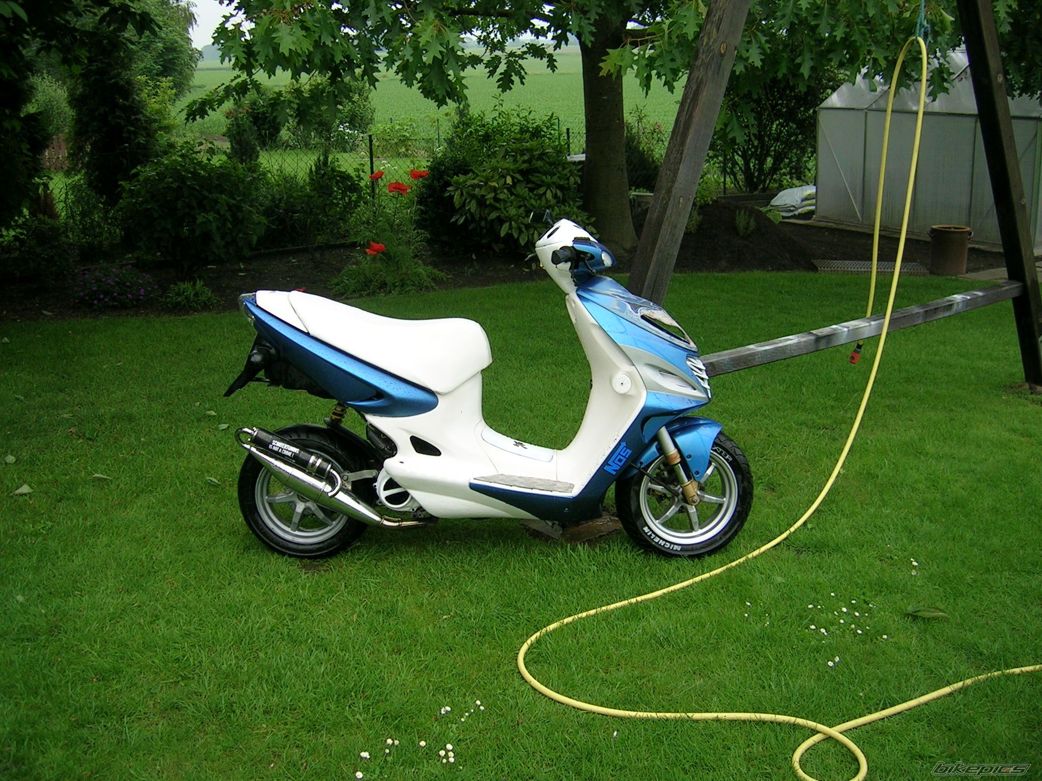 Photo 1356947
