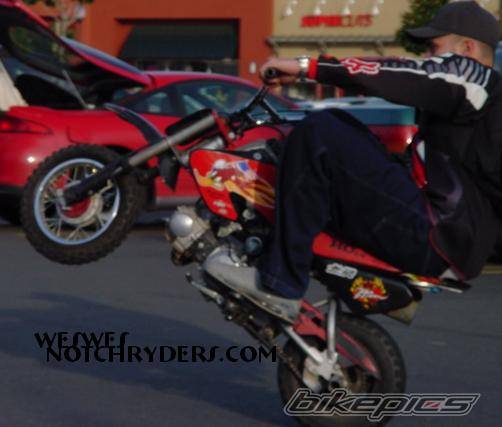 Photo 135695