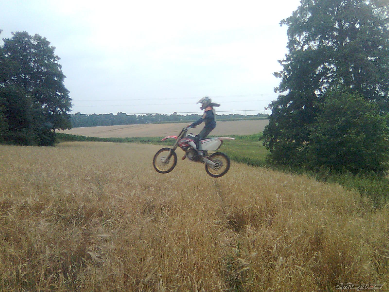 Photo 1357046