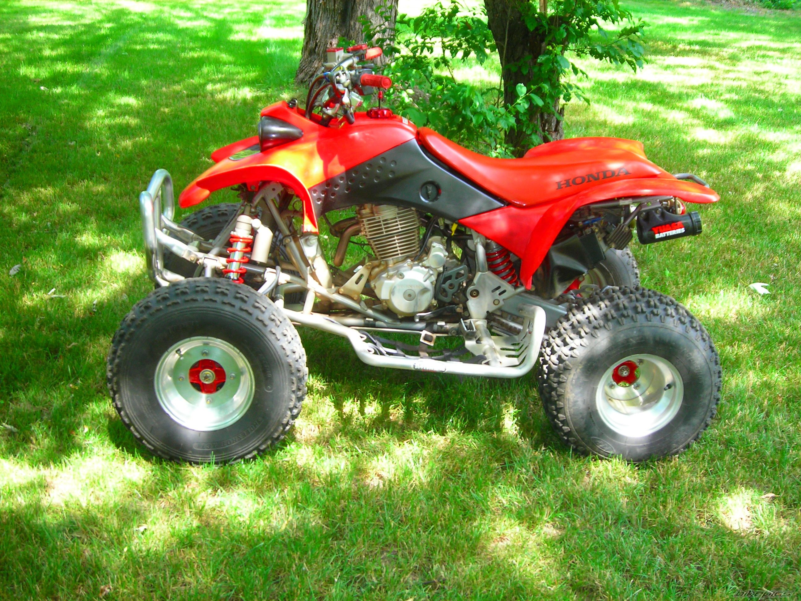 Photo 1357059