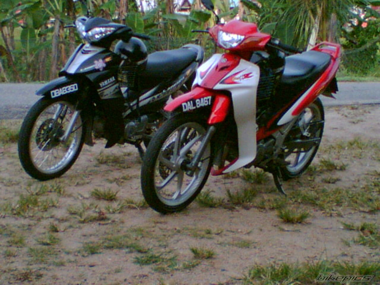 Photo 1357149