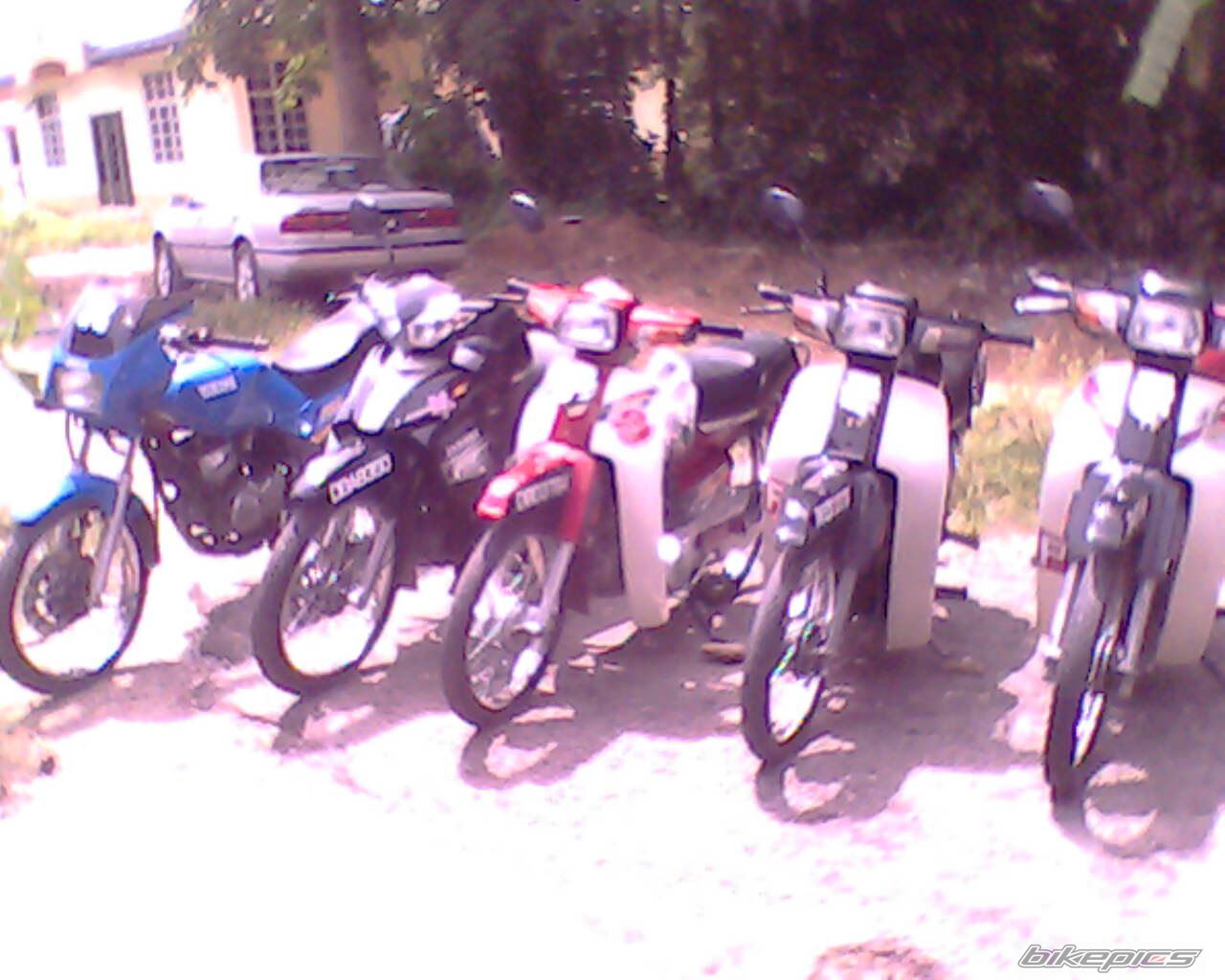 Photo 1357152
