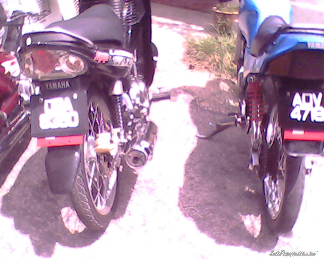 Photo 1357166