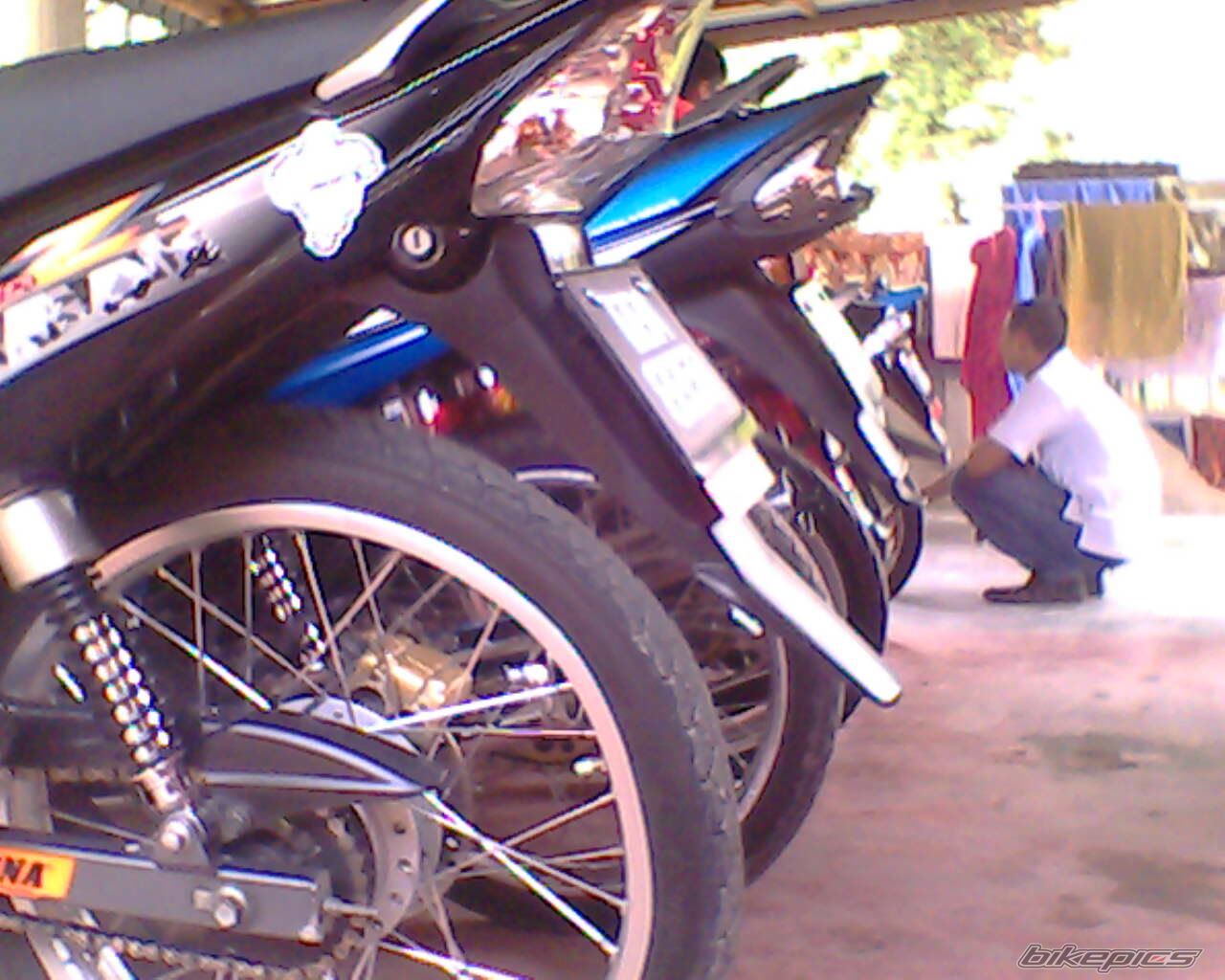 Photo 1357168