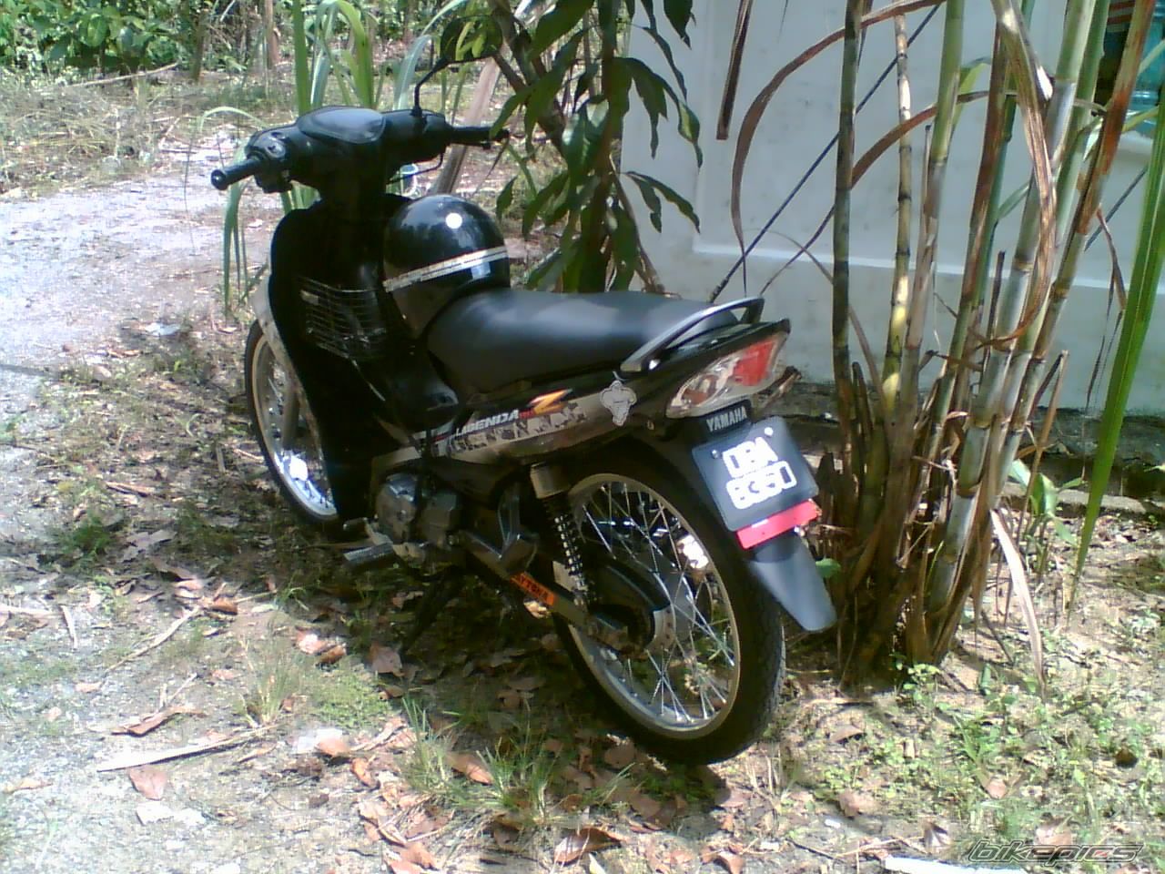 Photo 1357186