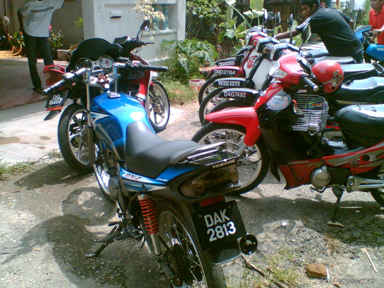 Photo 1357193