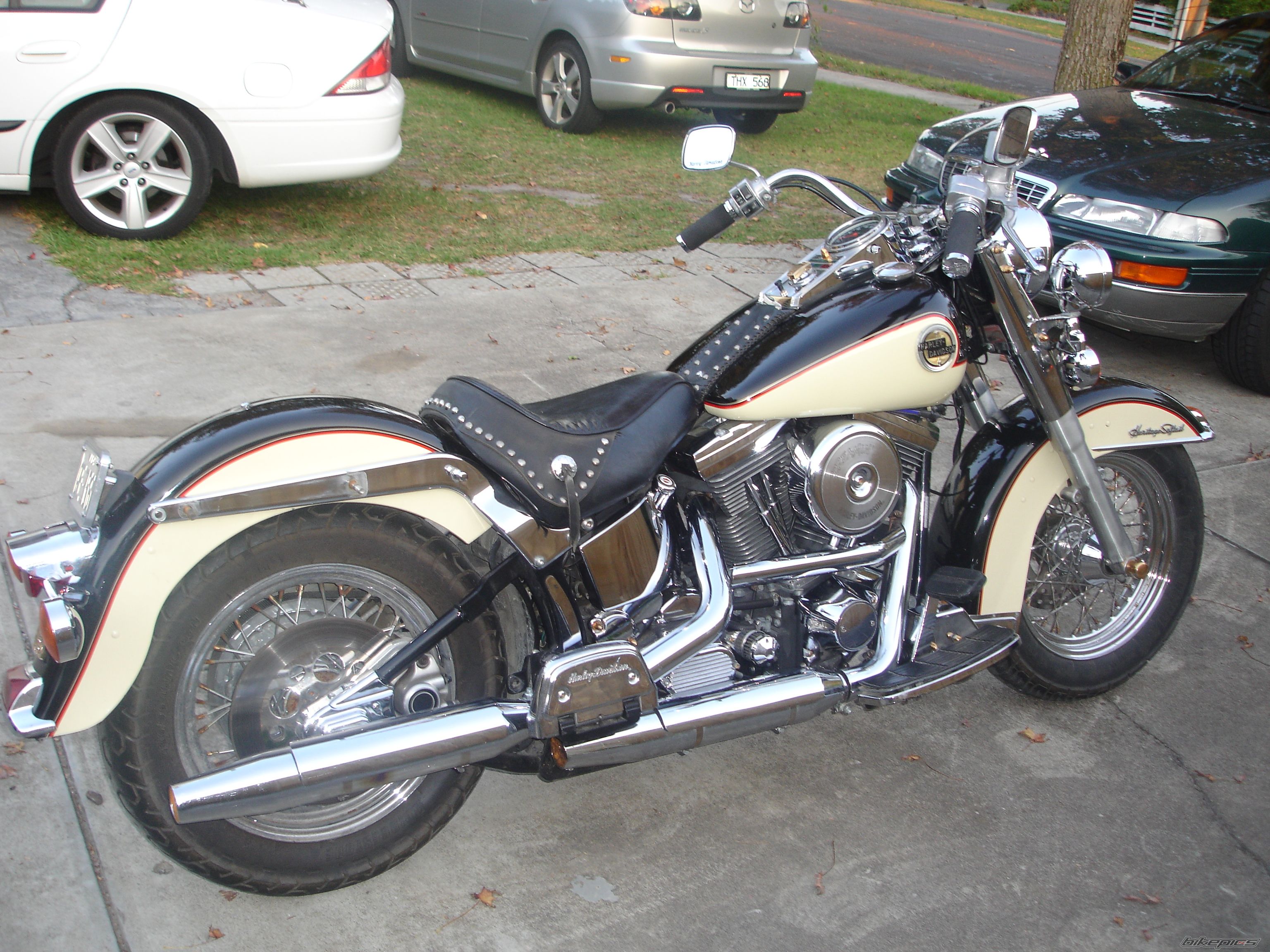 Photo 1357220