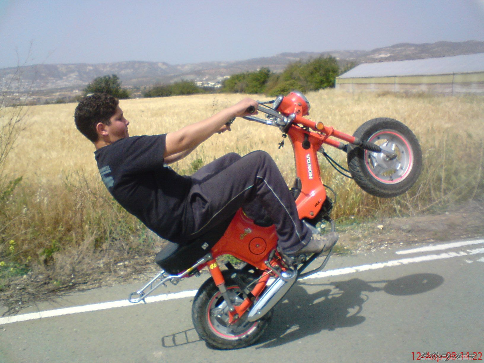 Photo 1357232