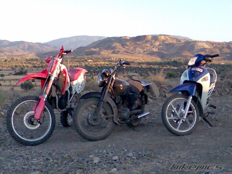 Photo 1357257