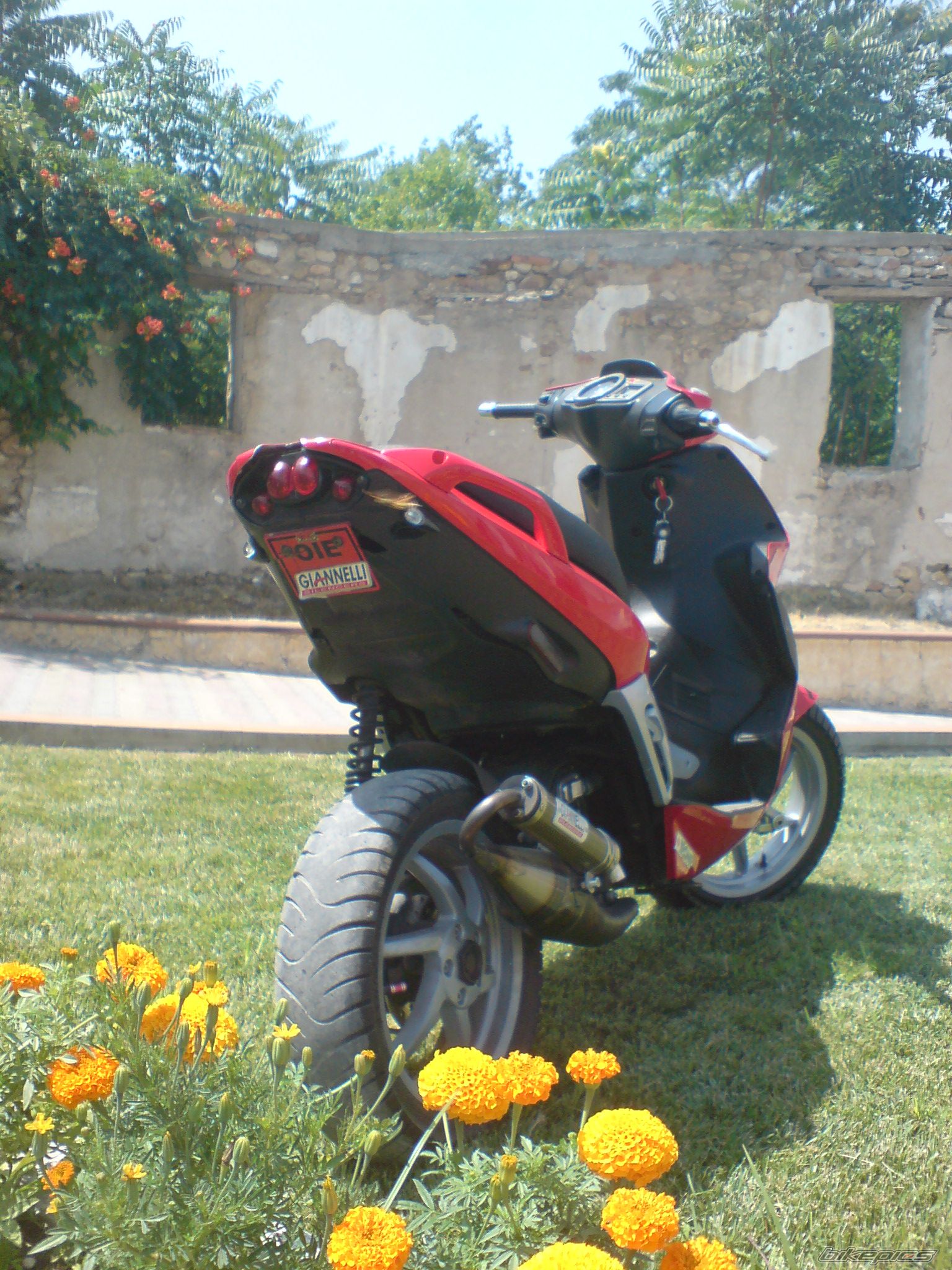 Photo 1357266