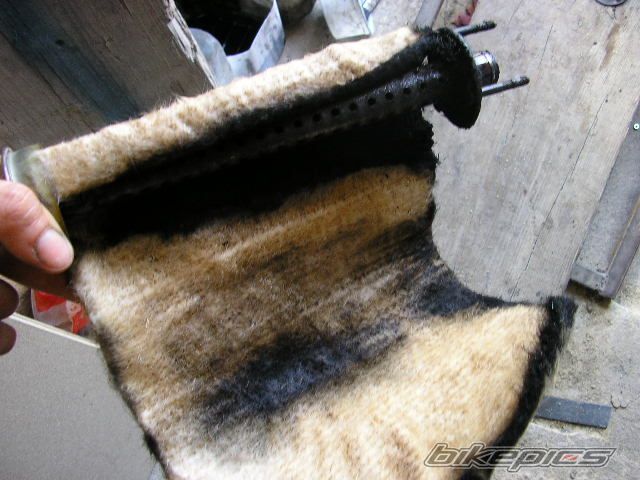 Photo 1357317