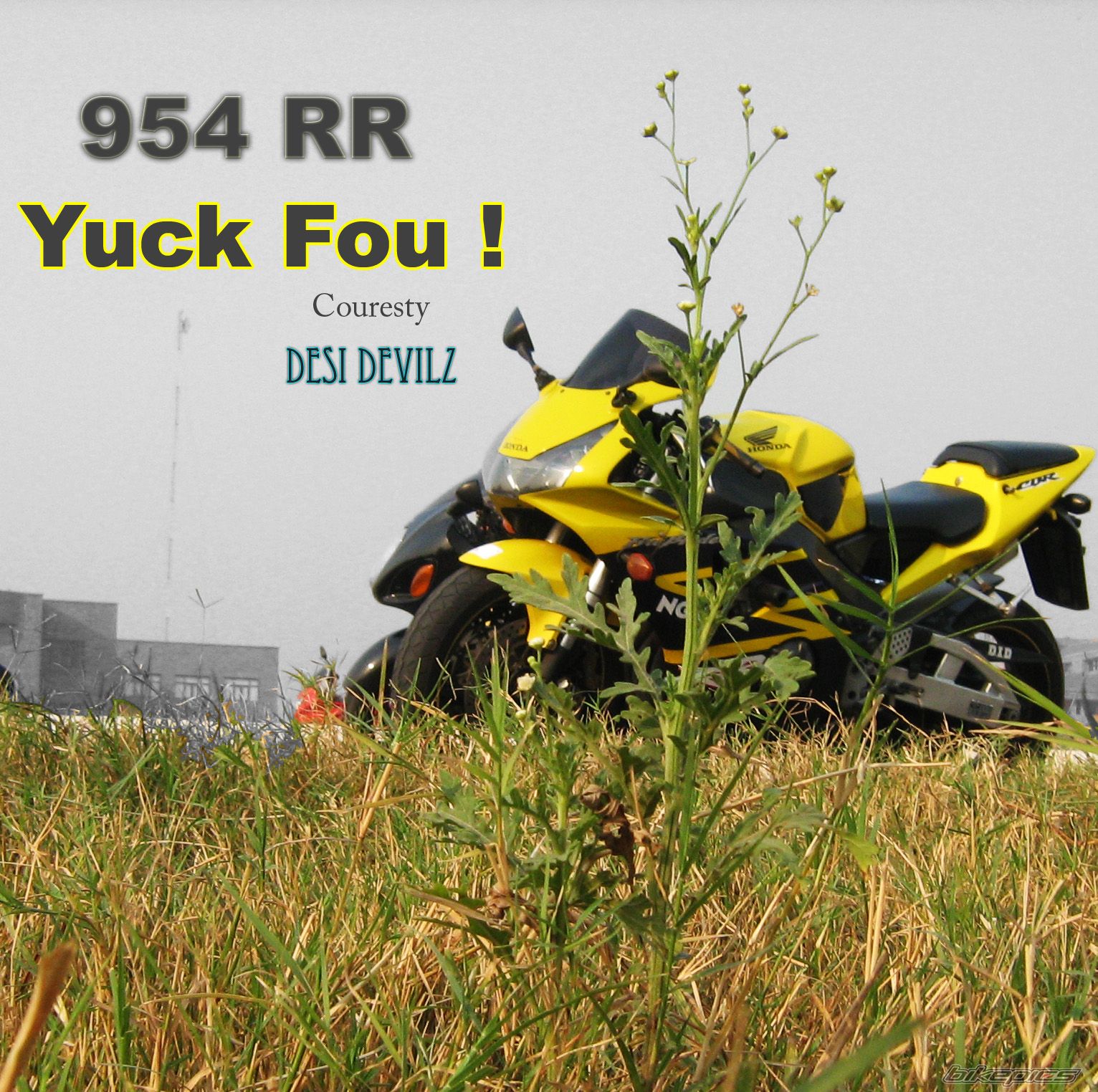 Photo 1357364