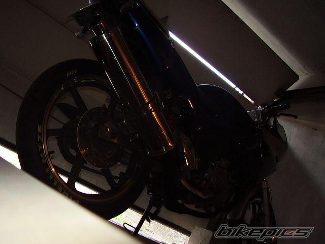 Photo 1357405
