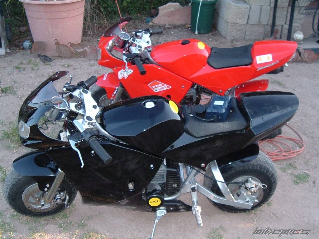 Photo 135765