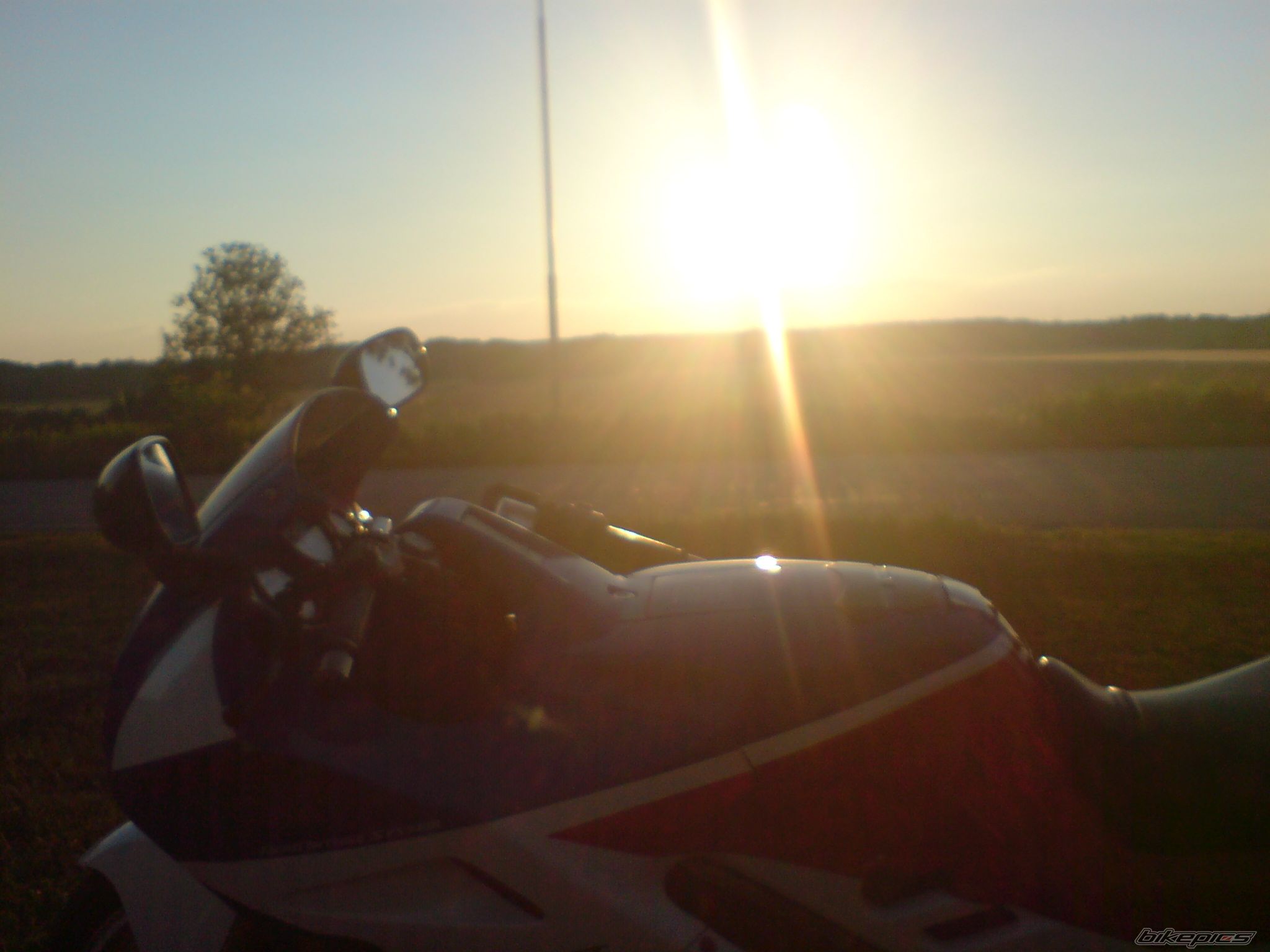 Photo 1357811