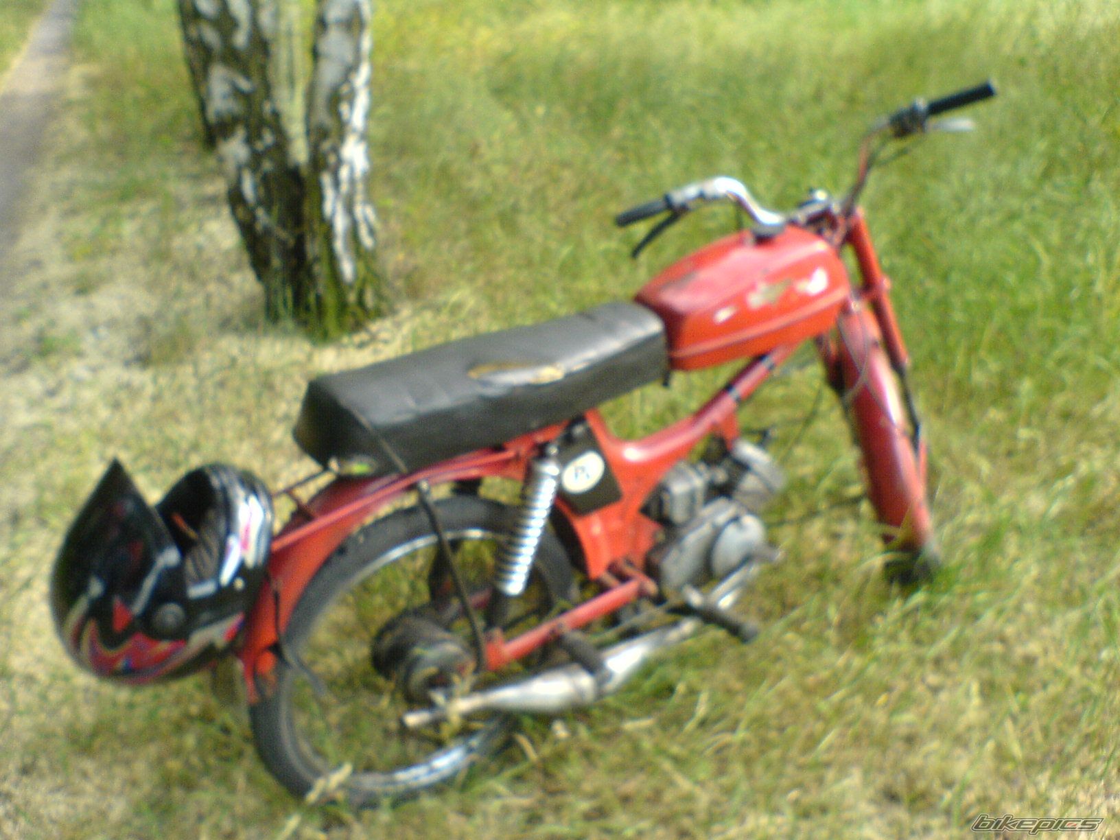 Photo 1357832