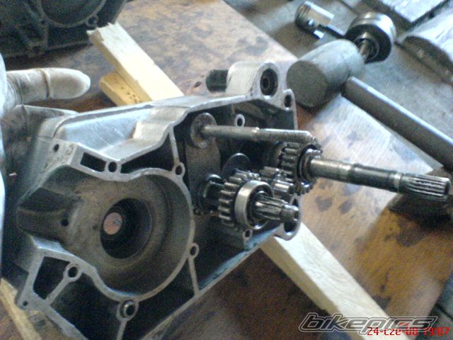 Photo 1357842