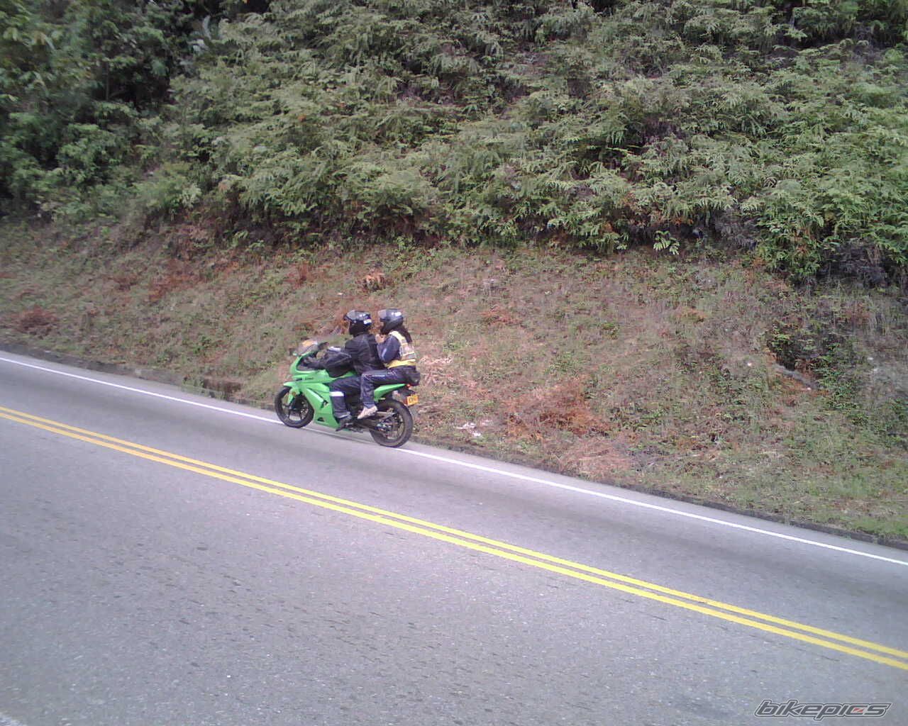 Photo 1357959
