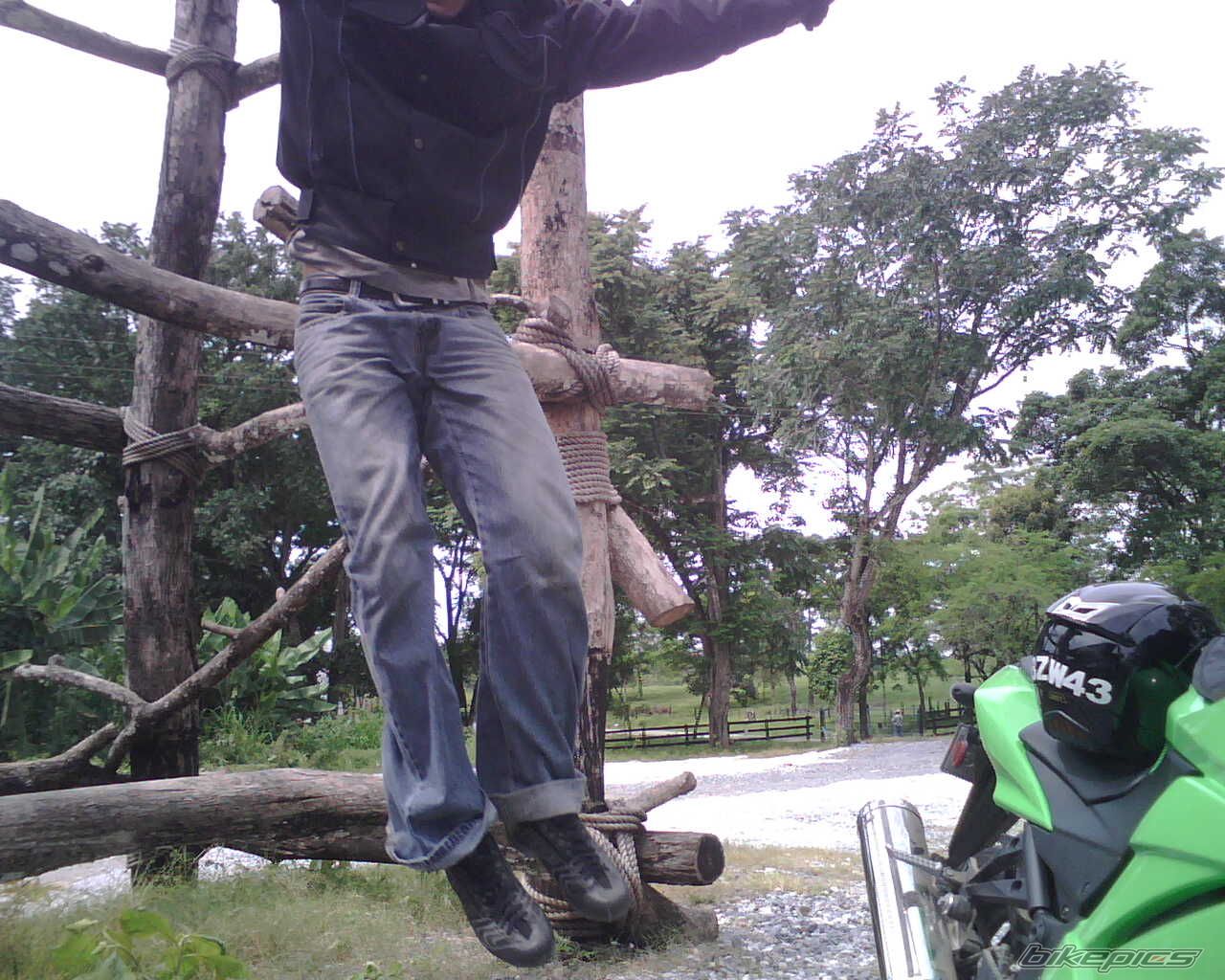 Photo 1357967