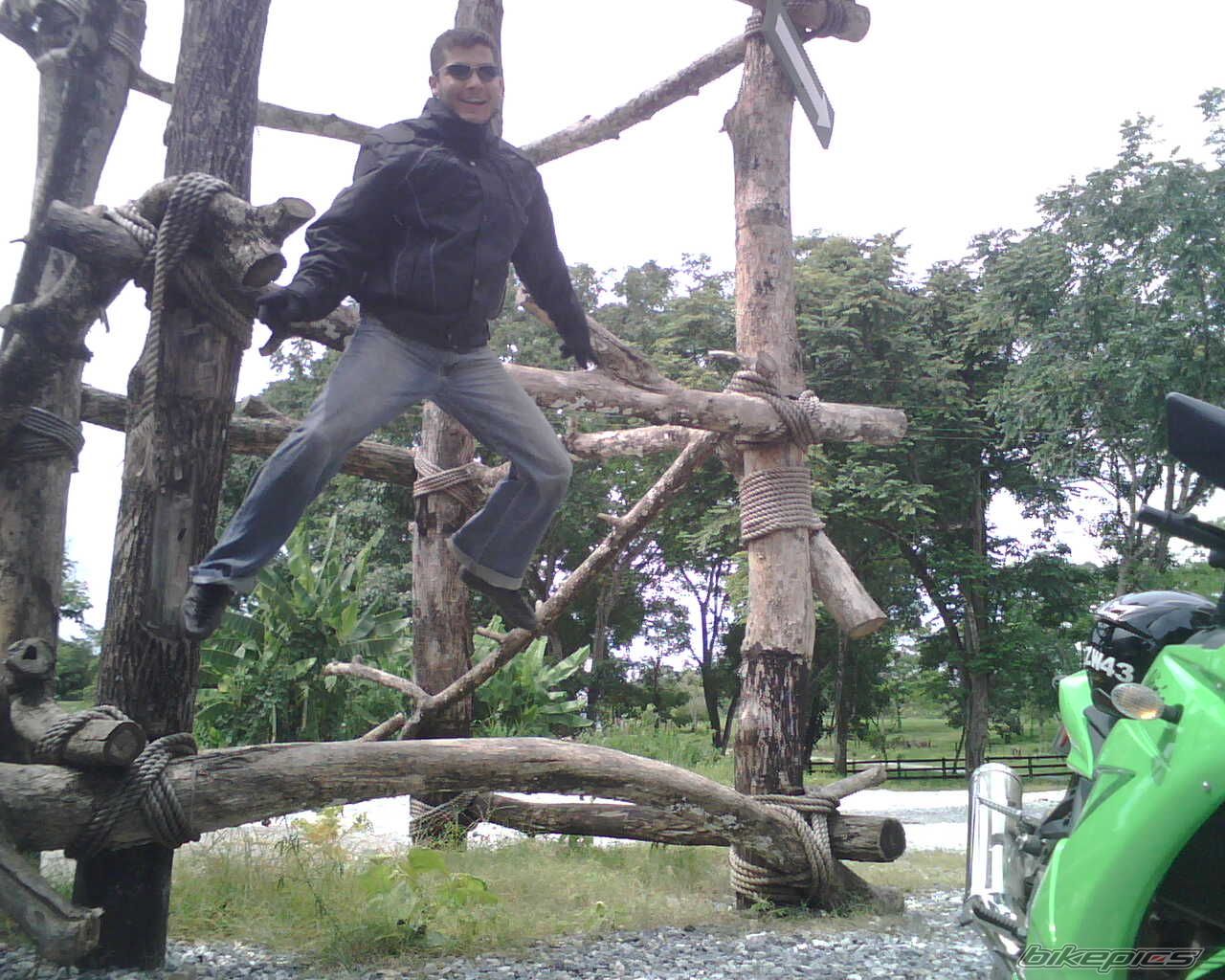 Photo 1357968