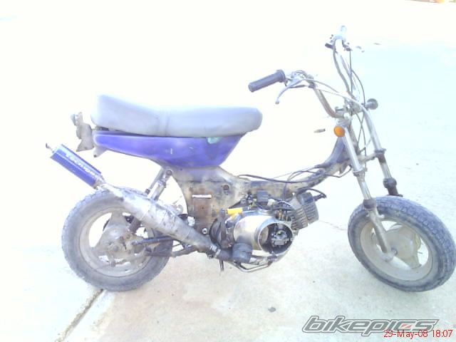 Photo 1358293