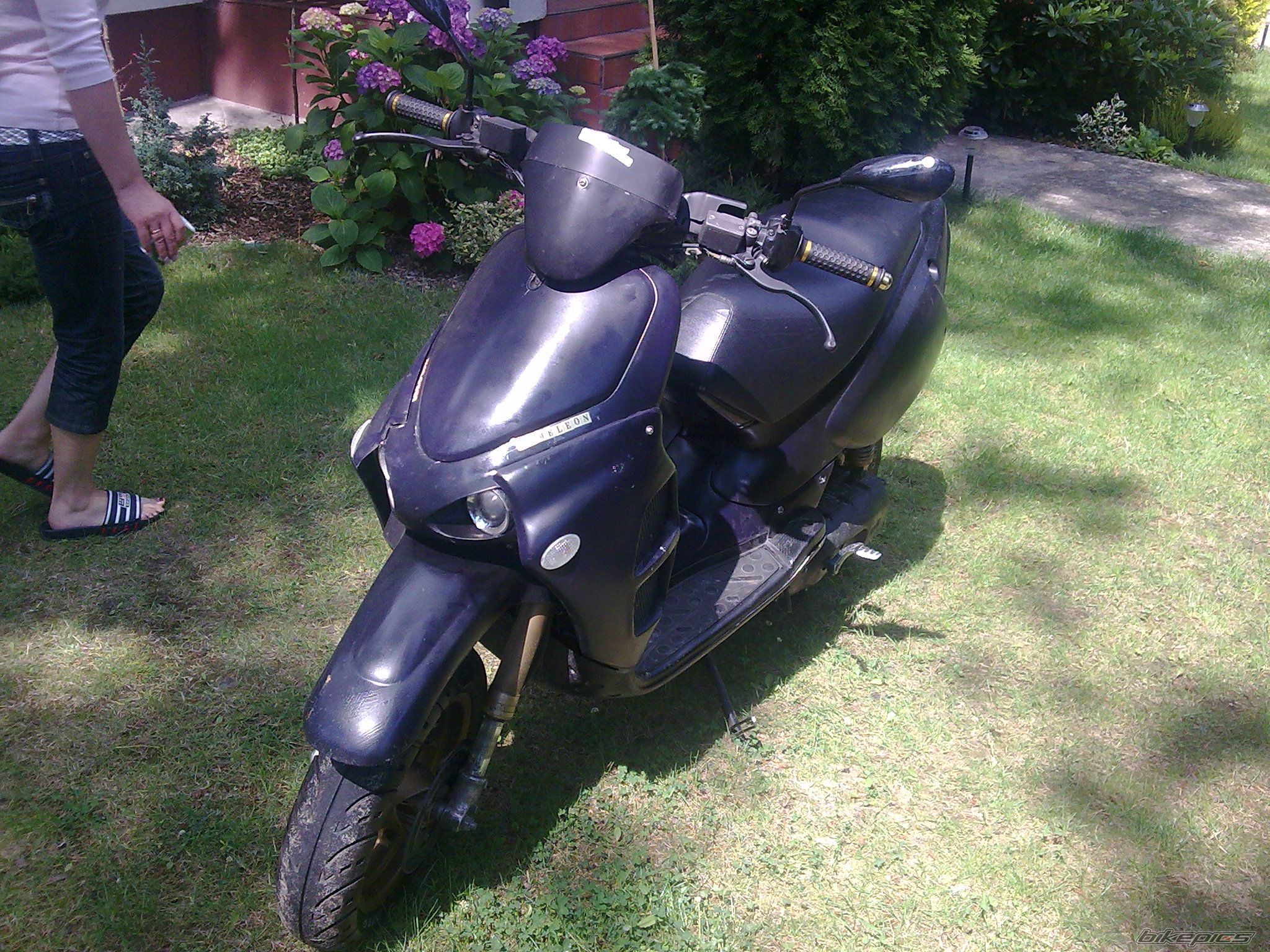 Photo 1358584