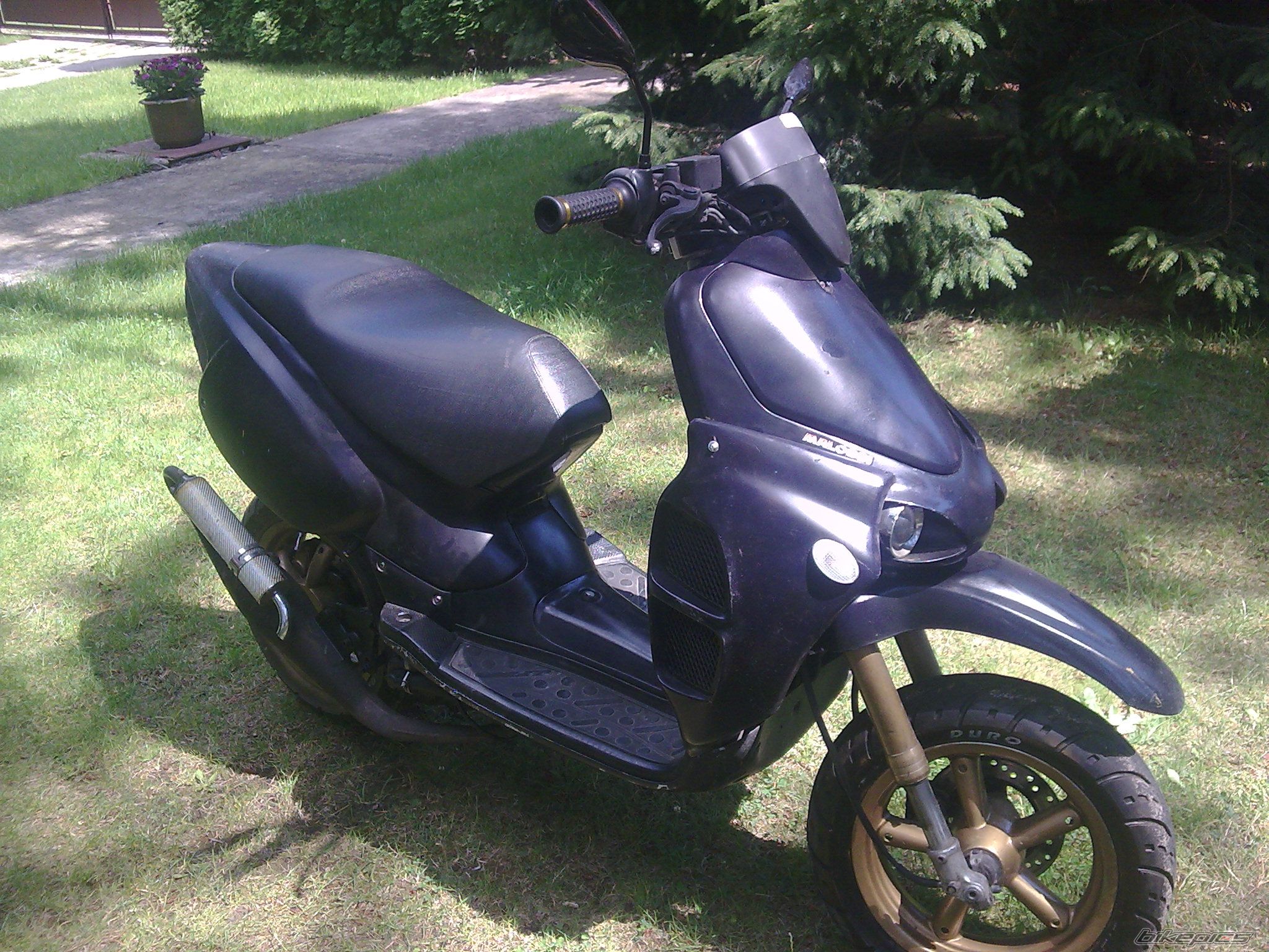 Photo 1358593