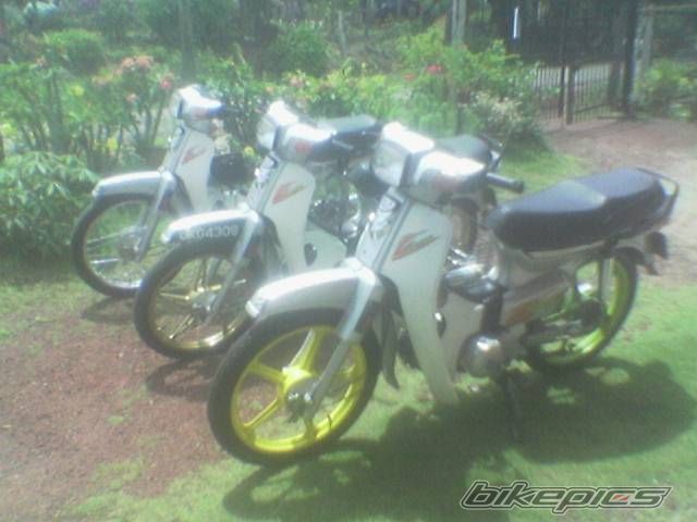 Photo 1358620