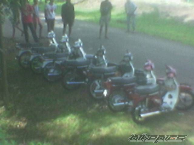 Photo 1358622