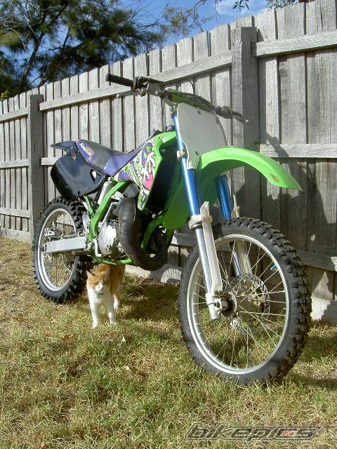 Photo 135867