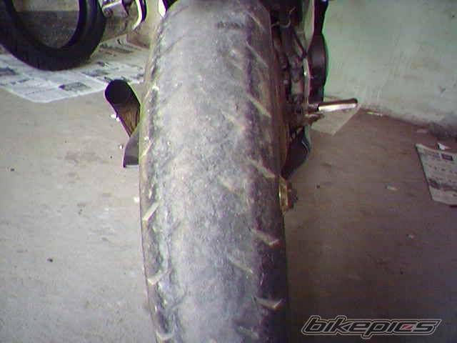 Photo 135881