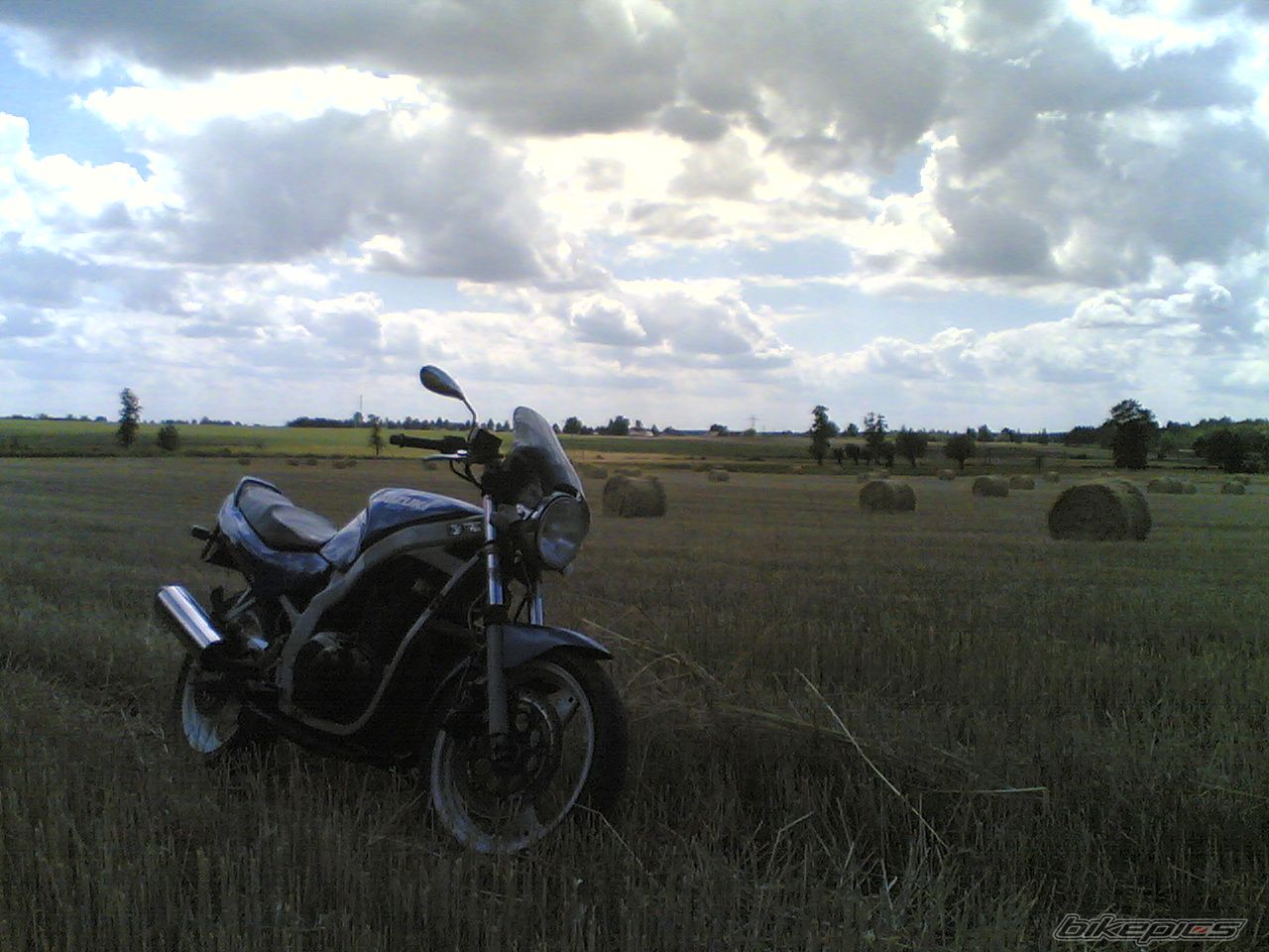 Photo 1358814