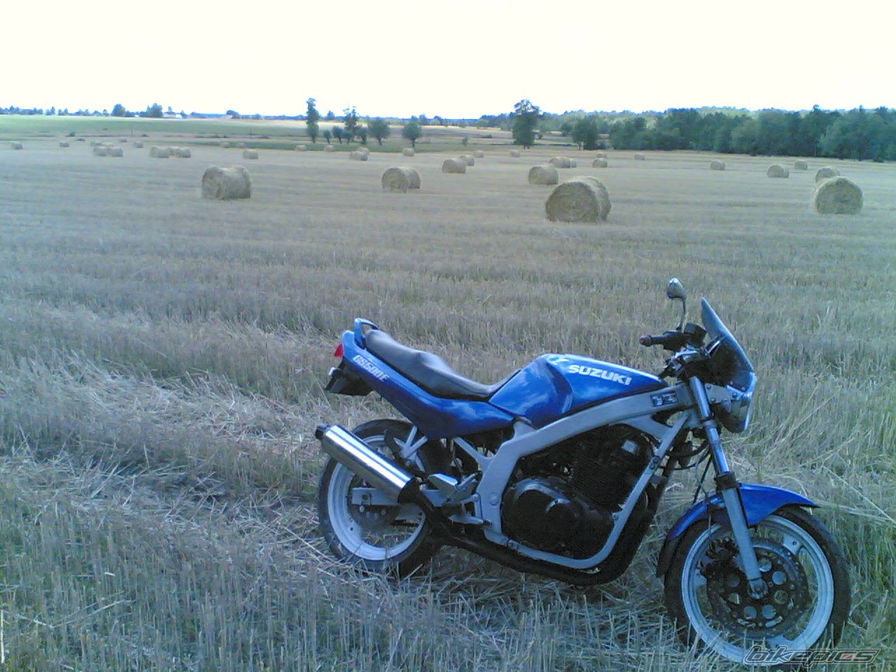 Photo 1358818