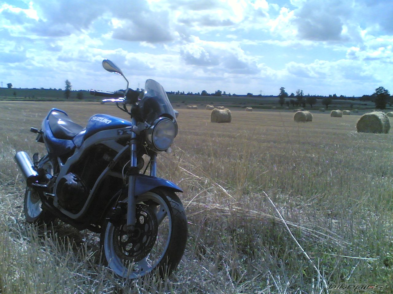 Photo 1358819