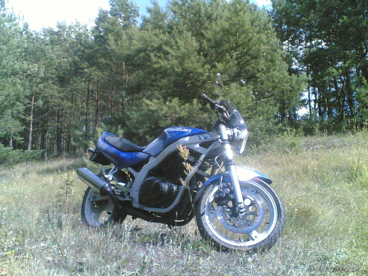 Photo 1358821