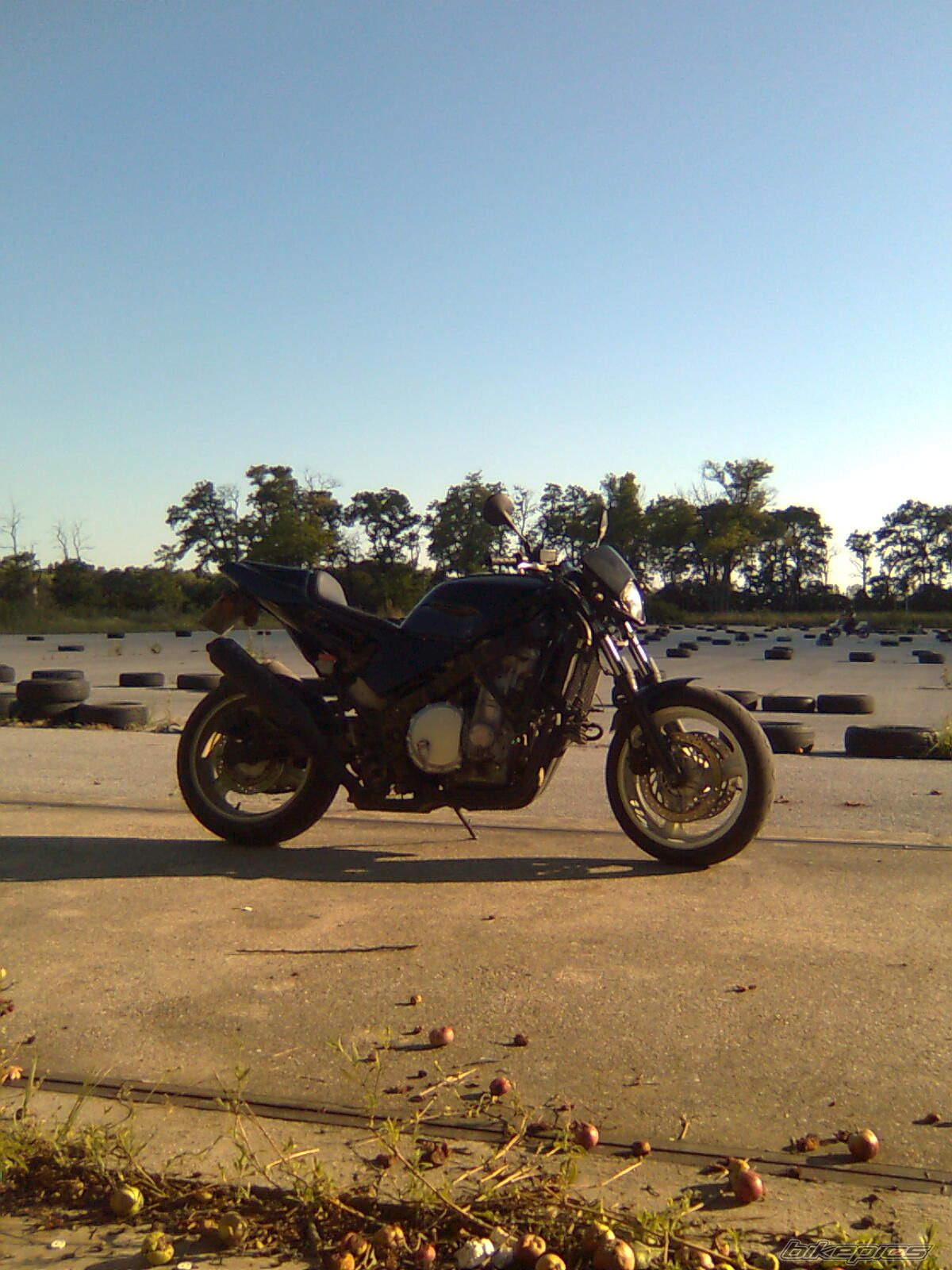 Photo 1358989