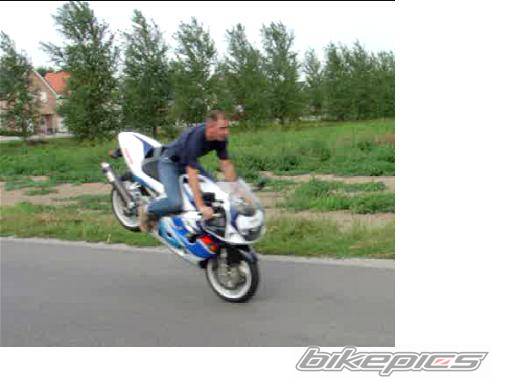 Photo 135899