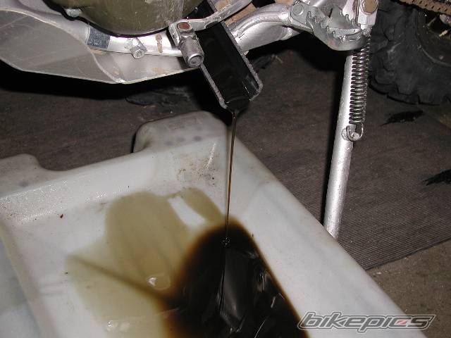 Photo 13591